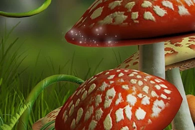 HD 3D mushroom background Samsung Galaxy S5 Wallpapers.jpg (1080 ...