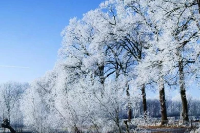 Wallpapers For Mobile Phone Samsumg Hd Free Download With Attitude ...