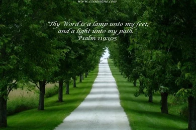 CHRISTMAS Jesus Desktop Screensavers