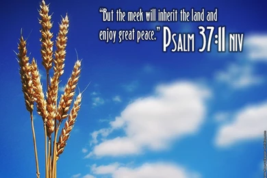 Religious Images Free Widescreen HD Wallpapers