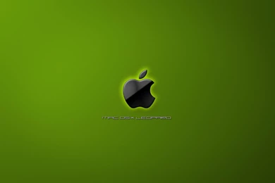 Desktop hd photos of green apples.jpg