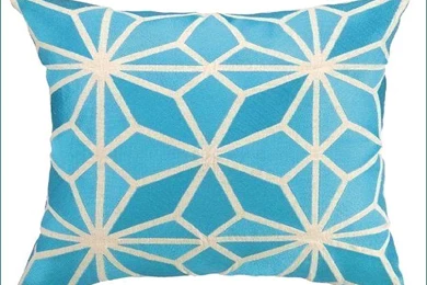 Trina turk pillows ebay.jpg