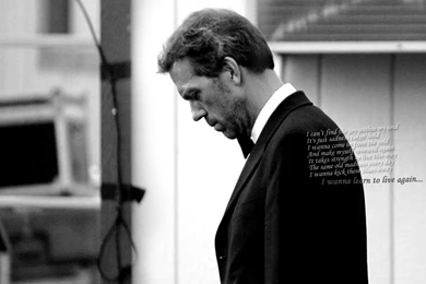 Hugh Laurie   Hugh Laurie Wallpapers (2959084)   Fanpop