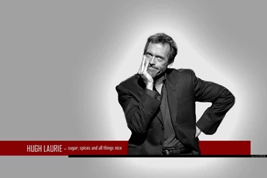Hugh   Hugh Laurie Wallpapers (1165449)   Fanpop