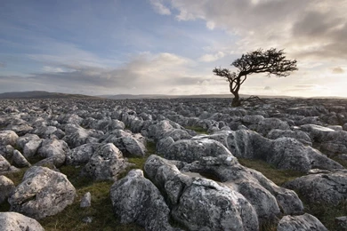 Yorkshire Dales Limestone Desert Wallpapers   Free Wide HD Wallpapers