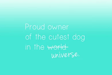 Birthday Week: Cutest Dog Free Desktop Wallpapers