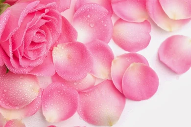 Beautiful Love Wallpapers For Desktop full screen 2.jpg