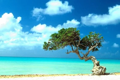 Cool Wallpapers Free