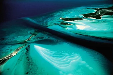 Free Cool Wallpapers