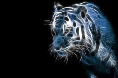 Free Cool Wallpapers   Wallpapers HD Fine