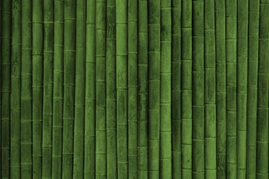 Bamboo wall photography hd wallpaper 2560x1600 6080 1024x640.png
