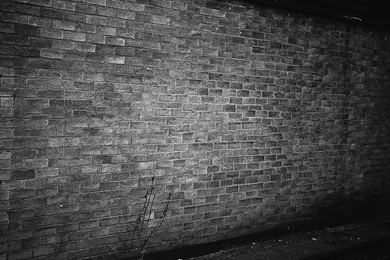 Monochrome Brick Wall