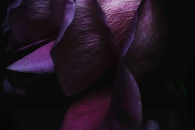 Best iPhone Wallpapers IOS 9 Download Right Now