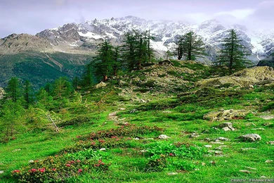 Spring Landscape Wallpapers 2   Crazy Frankenstein