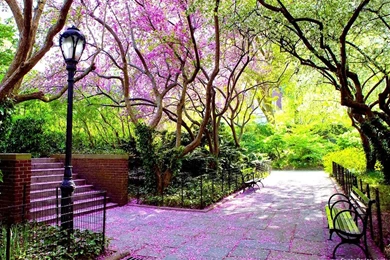 Landscapes Wallpapers