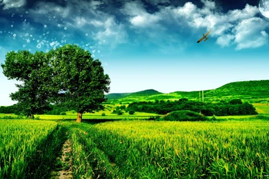 Green Fields Landscape Wallpapers