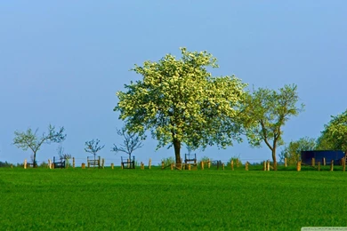 Spring Landscape Nature 7 HD Desktop Wallpapers : Widescreen : High ...