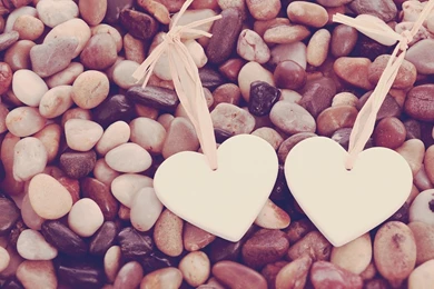 Vintage pebbles photography wallpaper.jpg