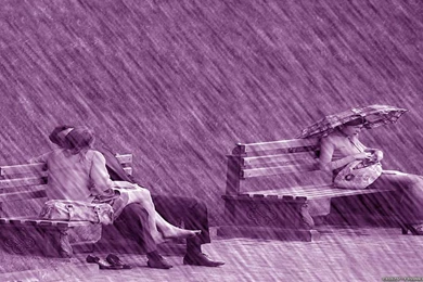 Love Rain Wallpapers   Crazy Frankenstein