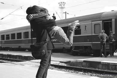 Love Birds Wallpapers   Crazy Frankenstein