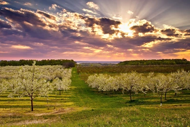 Download Wallpapers 3840x2400 Garden, Spring, Landscape Ultra HD 4K ...