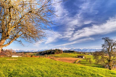 Spring Landscapes   1350655