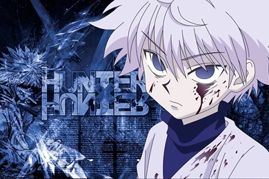 20 Wallpapers & Imágenes De HxH Taringa!