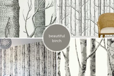 Ourhaus: We've Got You Covered