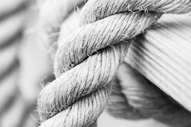 Macro iPhone 6 Wallpapers