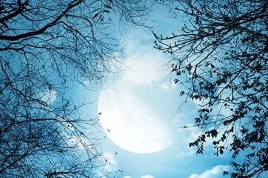 White Autumn Night iPhone 4s Wallpapers Download