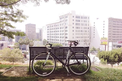 Capo At Tom Hansen's Bench In 500 Days Of Summer.