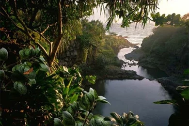 Animated Wallpapers Download   Wallpapers HD Fine