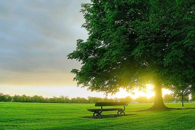 Download Animated Wallpapers For Mobile