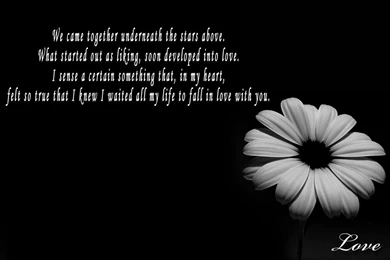 Black Flowers Love Quotes Wallpapers Desktop
