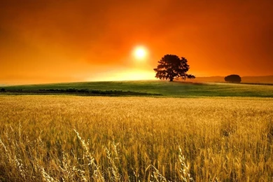 Hd Wallpapers For Laptop