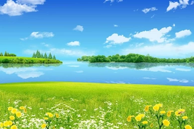 Beautiful Summer Nature Widescreen Wallpapers