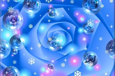 Blue Roses Wallpapers 67483 Wallpapers