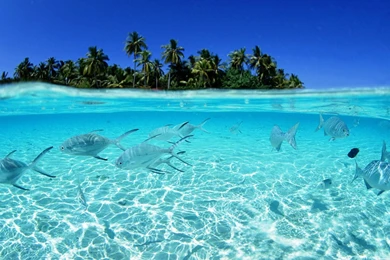 Download Beach Wallpapers For Mac   Beach Backgrounds Island ...