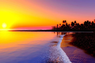 Download Wallpapers 2560x1440 Beach, Tropics, Sea, Sand, Palm Trees ...