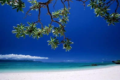 Free Desktop Screensavers (5) – Amazing Trends