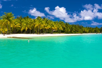 Download Wallpapers 2560x1440 Summer, Maldives, Tropical, Beach ...