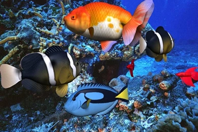 Free Desktop Screen Savers Free Wallpapers 3d Desktop Animated ...