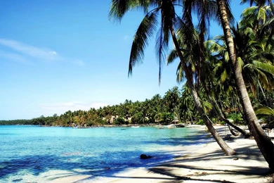 Backgrounds Screensavers   Widescreen HD Wallpapers