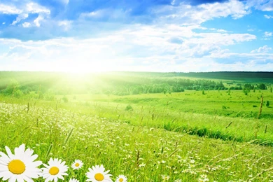 Download Free Wallpapers Spring