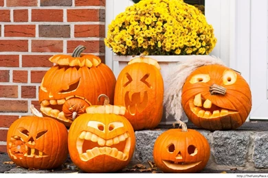 Cute Pumpkins Wallpapers – Funny Pictures, Awesome Pictures, Funny ...