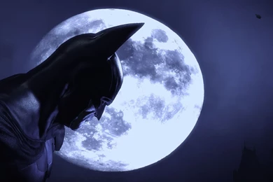 Batman Arkham Asylum Wallpapers 1920X1080   1585627