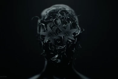 51 The Girl With The Dragon Tattoo HD Wallpapers