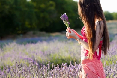 Mood Girl Field Flowers Purple Nature Wallpapers