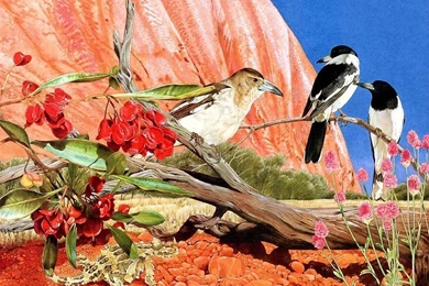 Birds Communicating Wallpapers