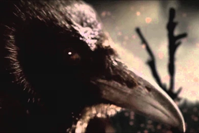 Vikings Intro   If I Had A Heart(Fever Ray) HD 1080p   YouTube